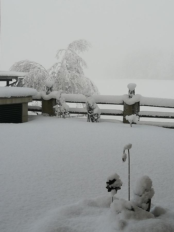 Pension Laerchenbrunn Westendorf Dış mekan fotoğraf