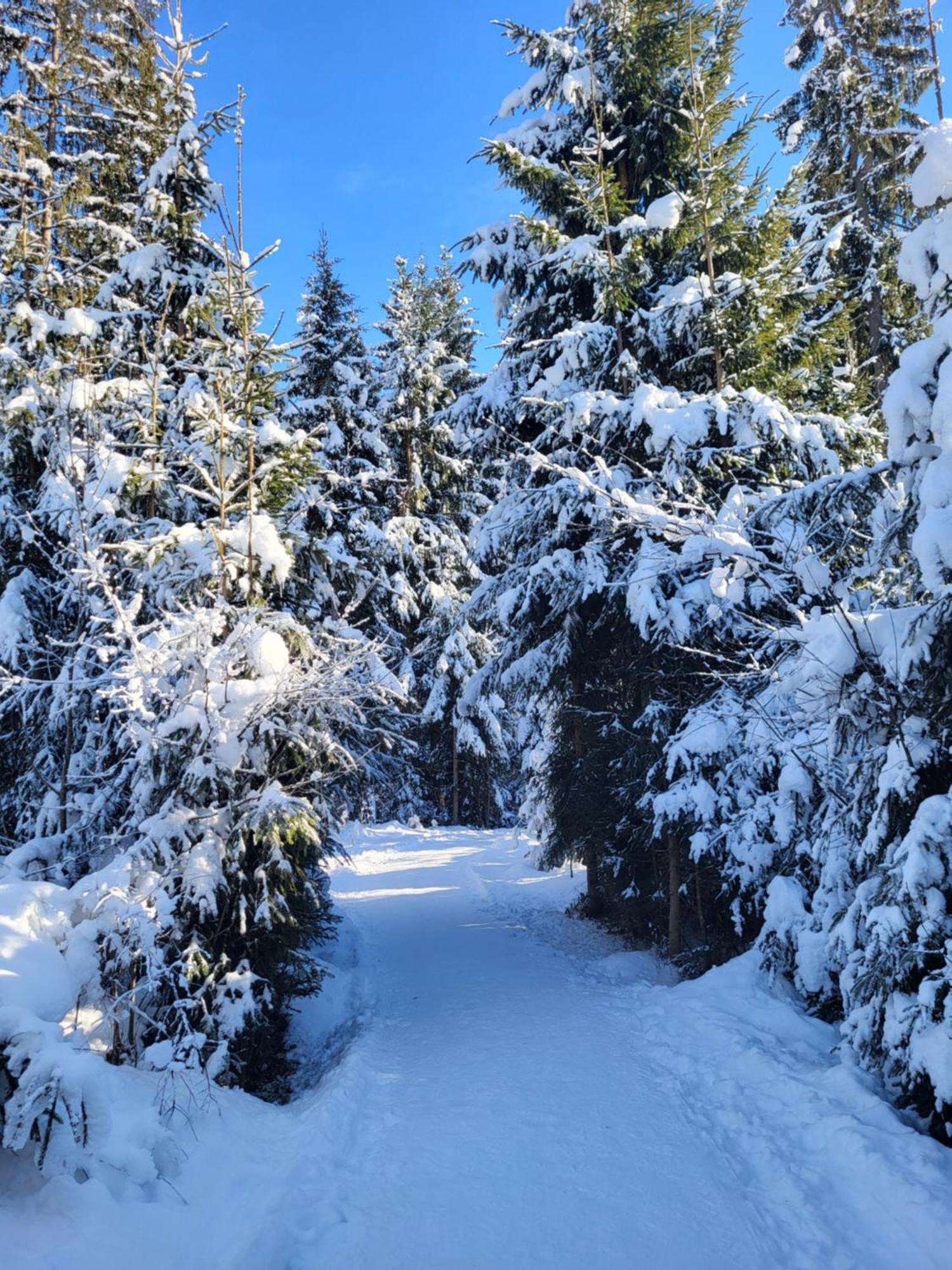 Pension Laerchenbrunn Westendorf Dış mekan fotoğraf