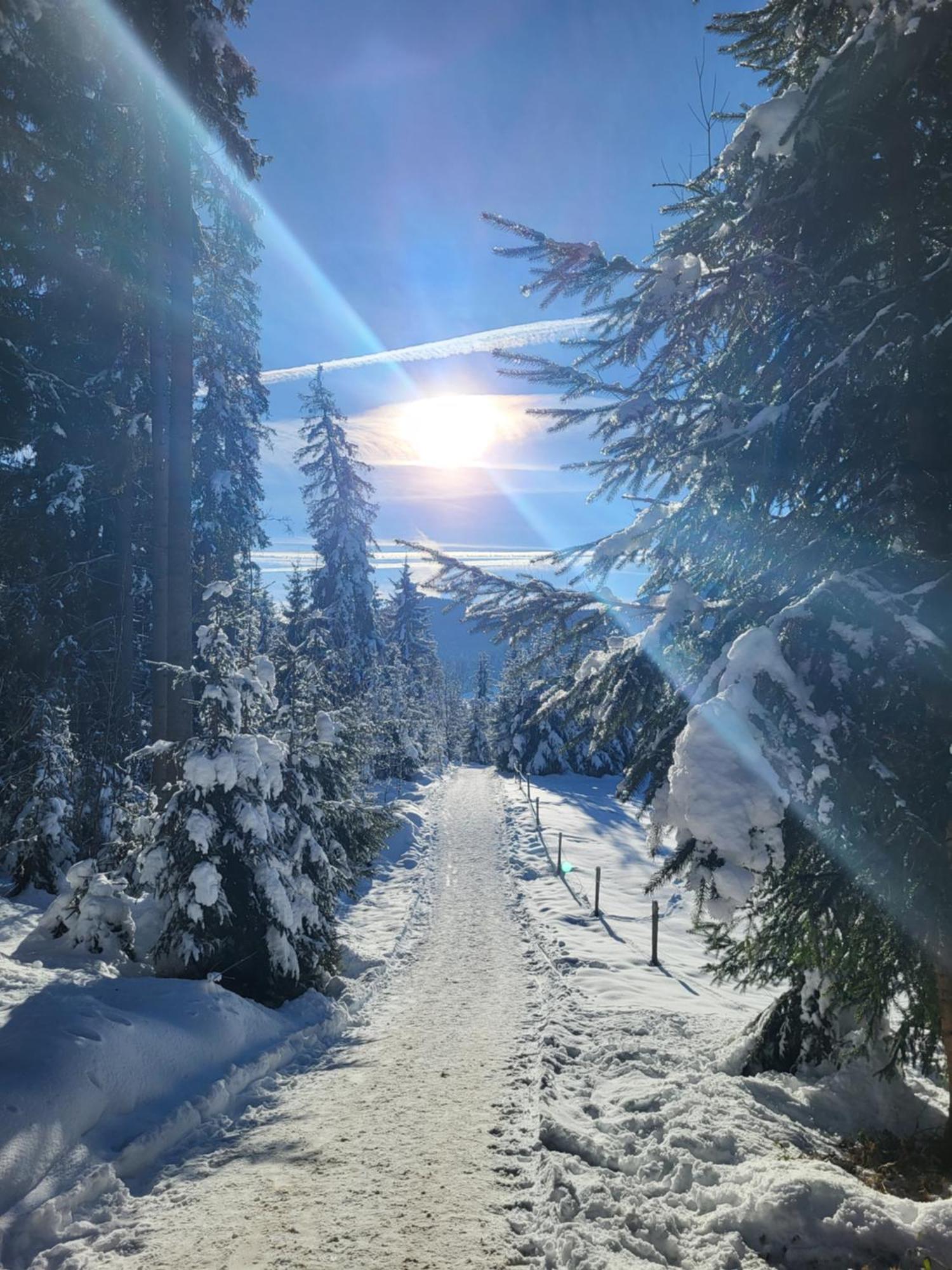 Pension Laerchenbrunn Westendorf Dış mekan fotoğraf