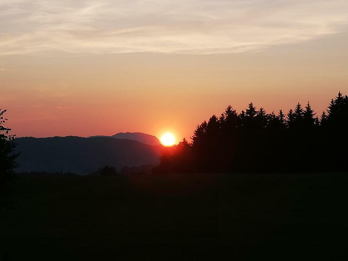 Pension Laerchenbrunn Westendorf Dış mekan fotoğraf